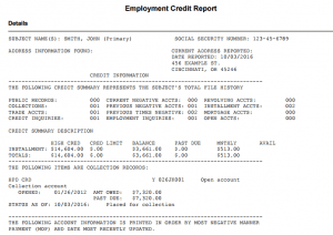 Employment Credit Report
