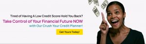 Crush Your Credit Planner